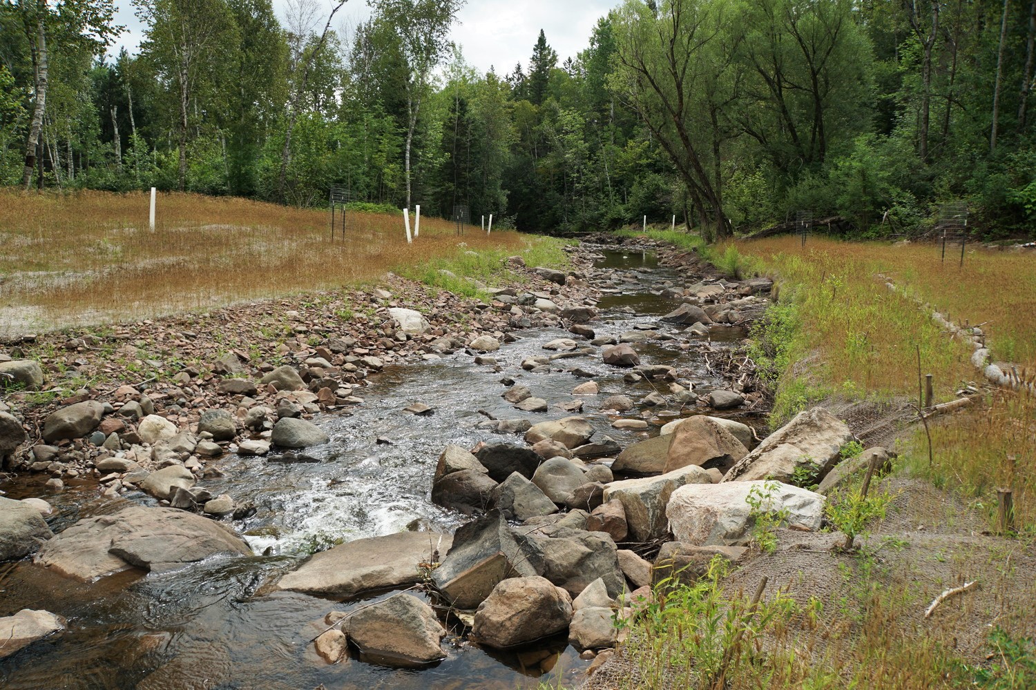 City of Duluth Streambank Flood Restoration