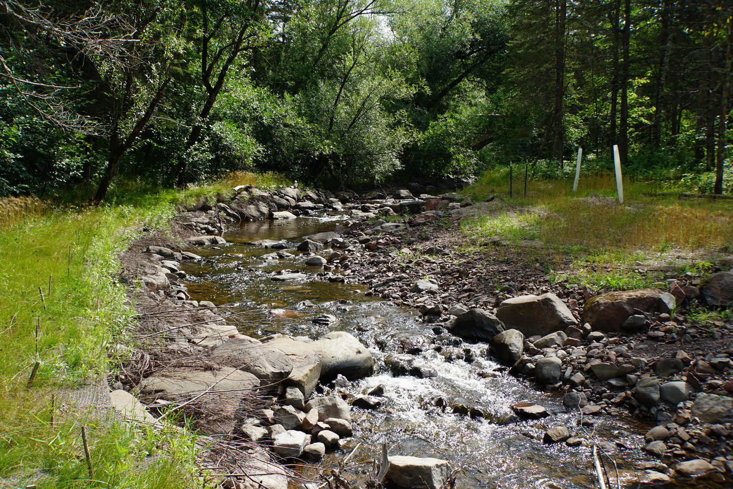 City of Duluth Streambank Flood Restoration