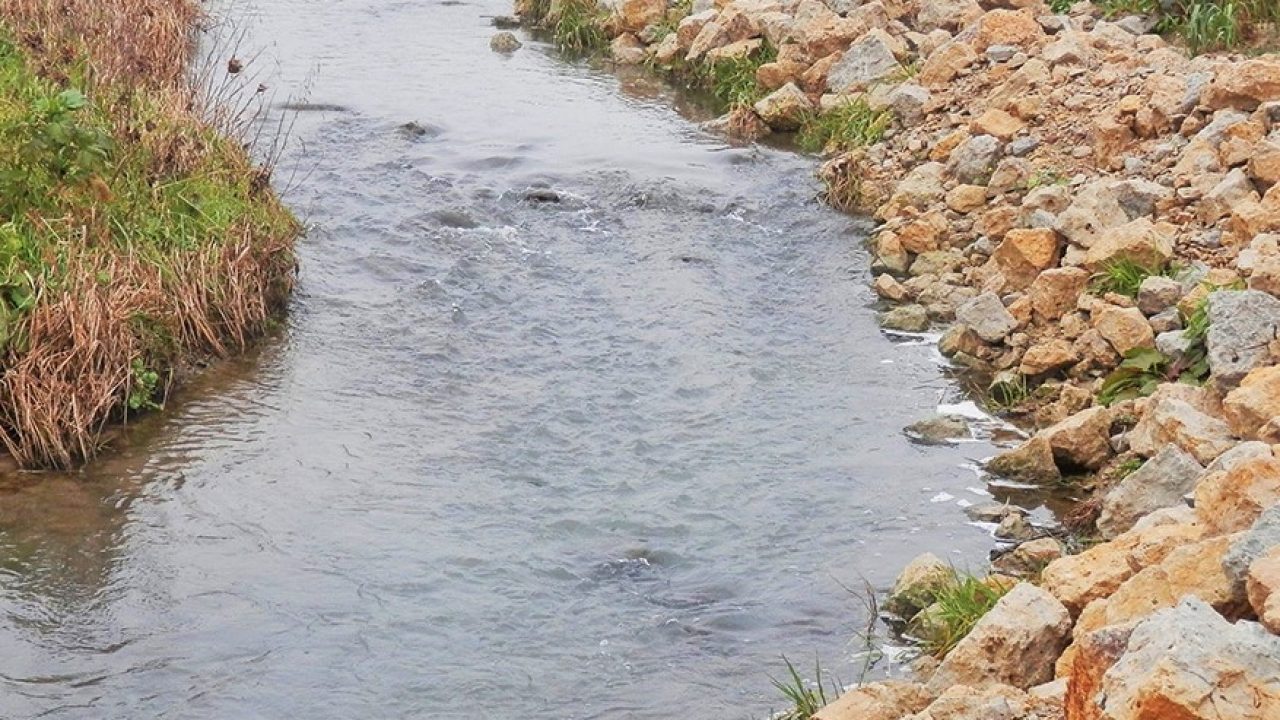 Catfish Creek Streambank Restoration MSA