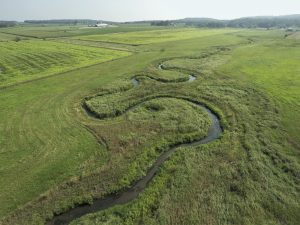 City of Brodhead water quality trading program stabilizes 62 actively eroding streambanks along searles creek