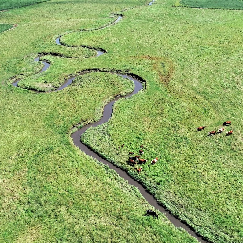 City of Brodhead Water Quality Trading Program MSA