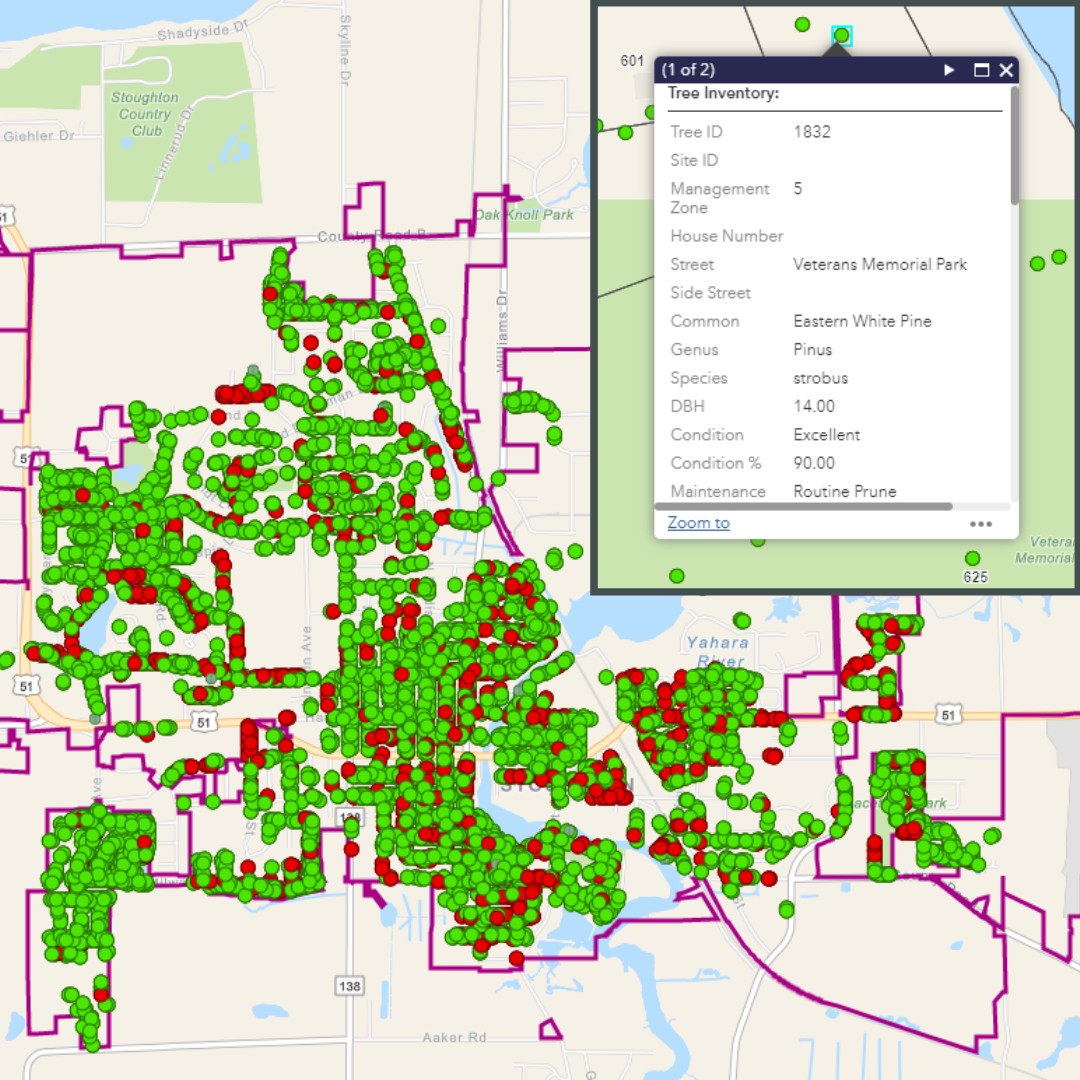 Stoughton GIS Tree Inventory SQ