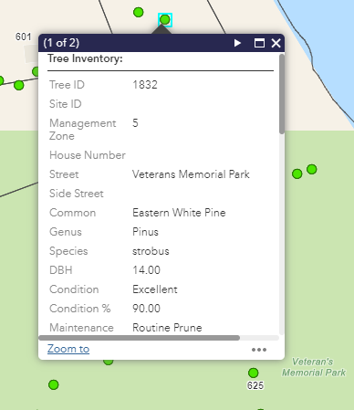 GIS for Tree Inventory_Urban Forest Management