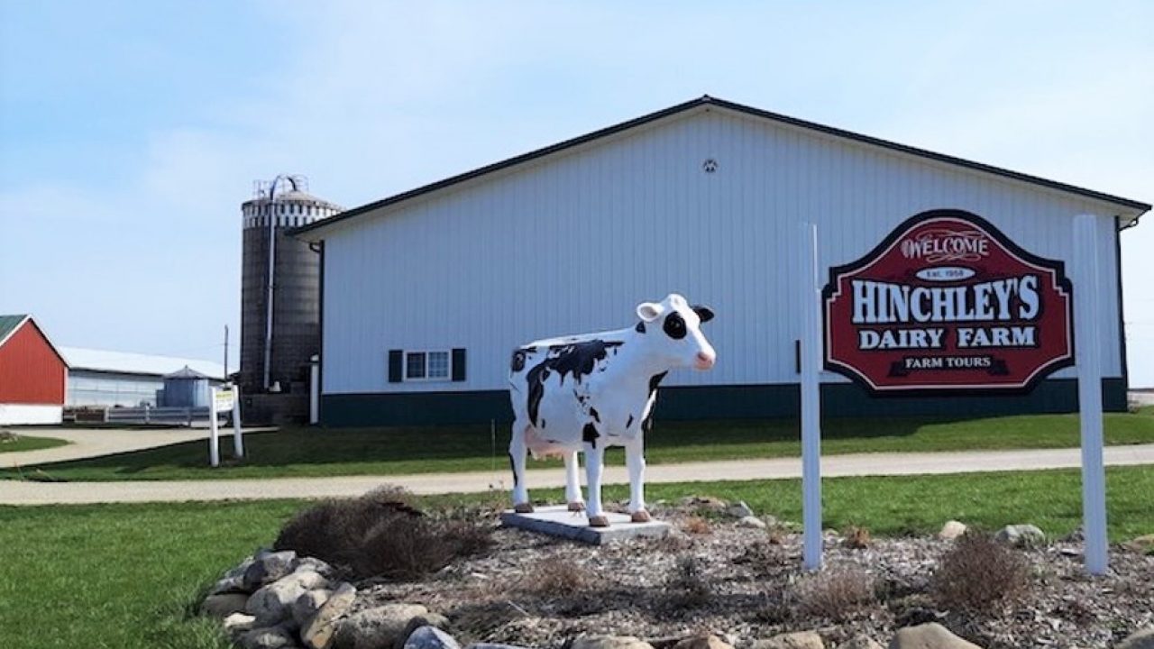 Hinchley's Dairy Farm Expansion - MSA