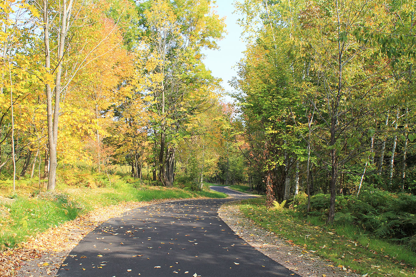 Trillium Trail_Rib Mountain_WI