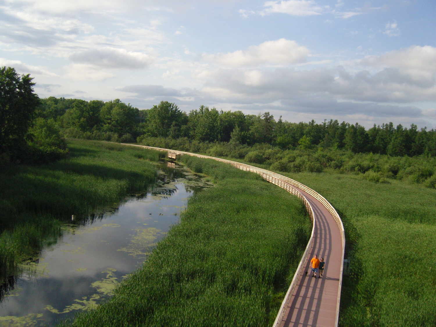 Antigo Spring Brook Trail