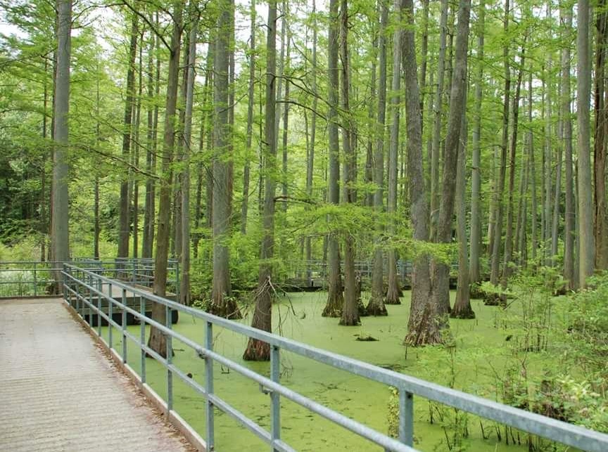 Little Black Slough Nature Preserve