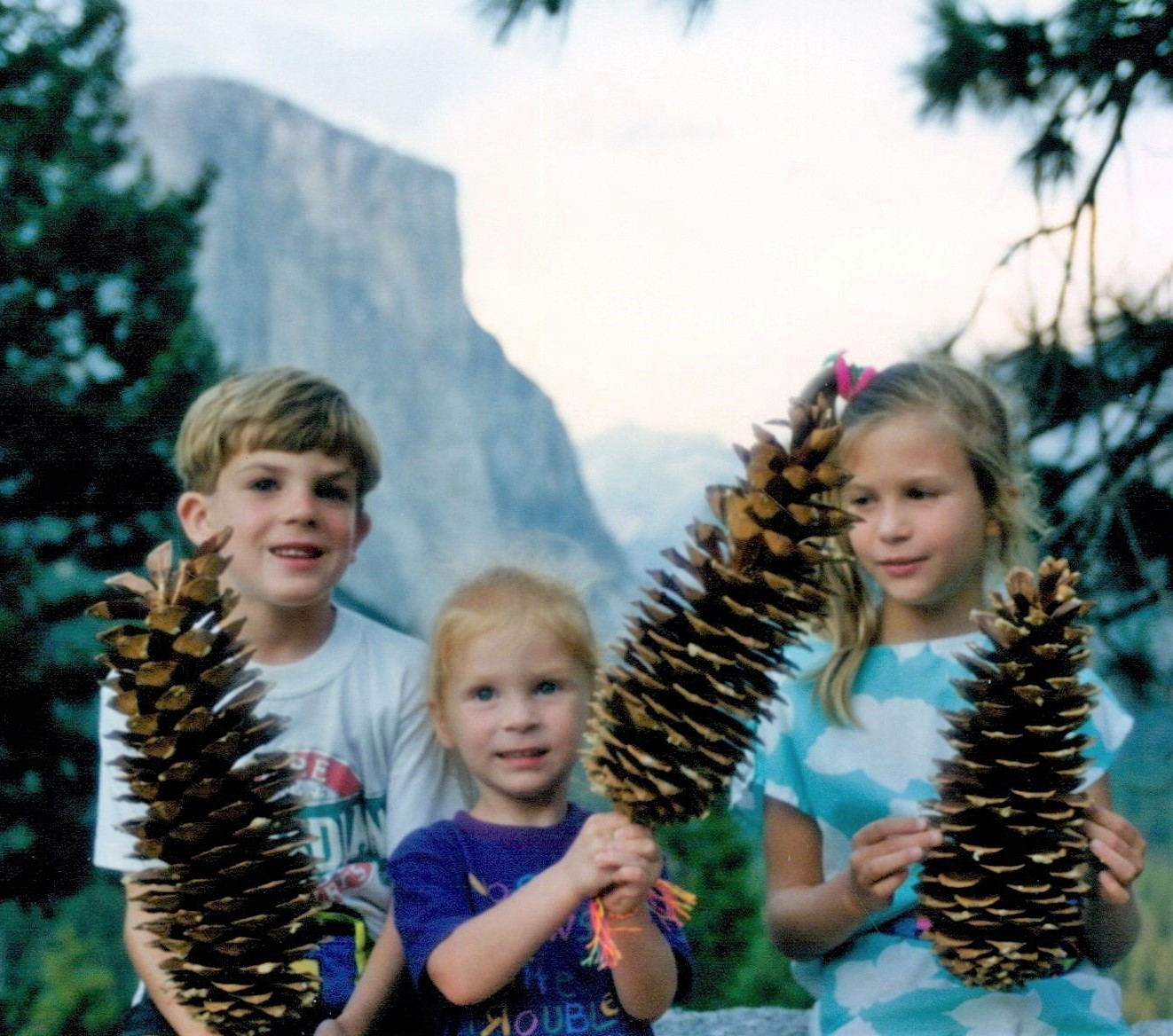 Co-author Shannon Gapp, age 3 (middle), and siblings - discovering Yosemite National Park's treasures.