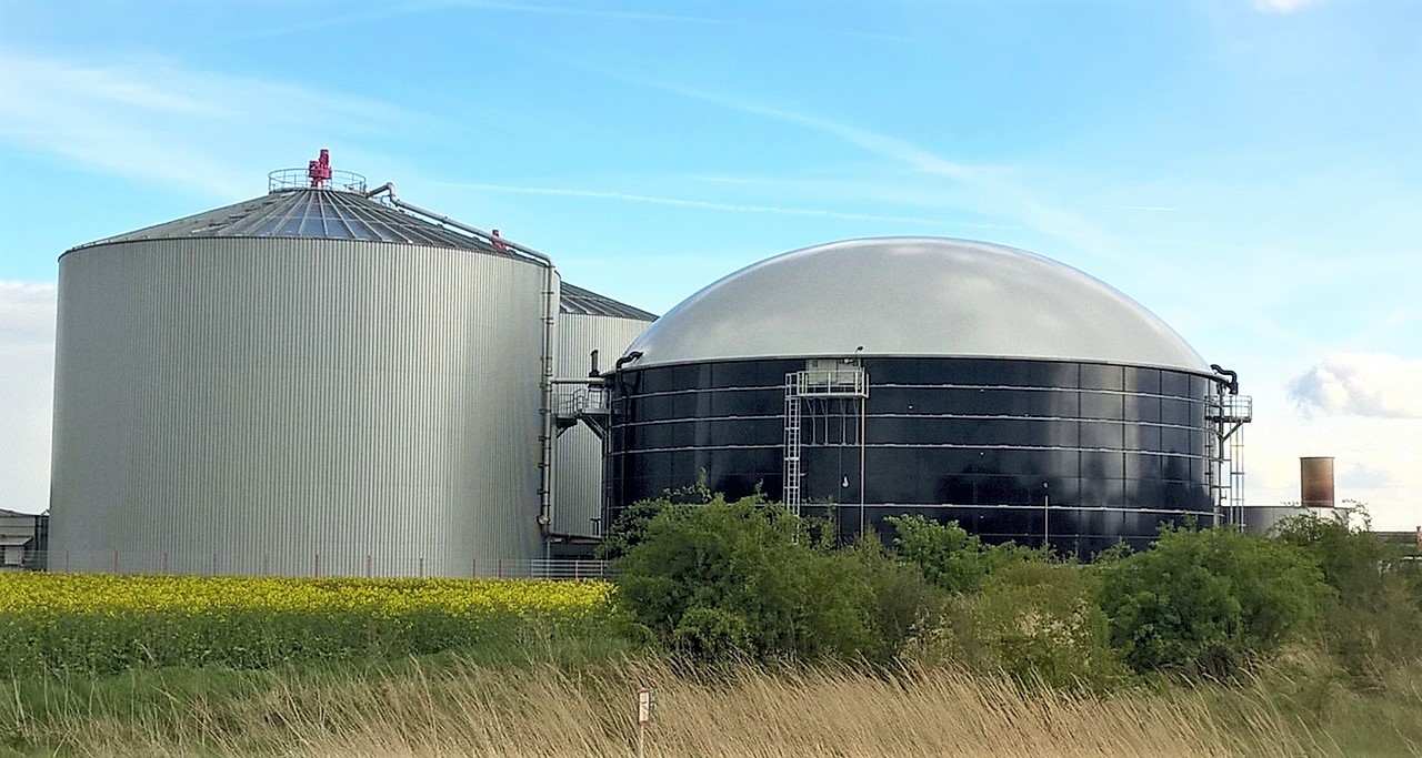Biogas storage systems