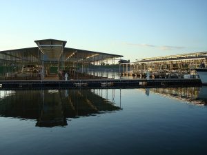 Waterfront view with still waters and boats in slips at Liberty Park and marina in Clarksville, Tennessee